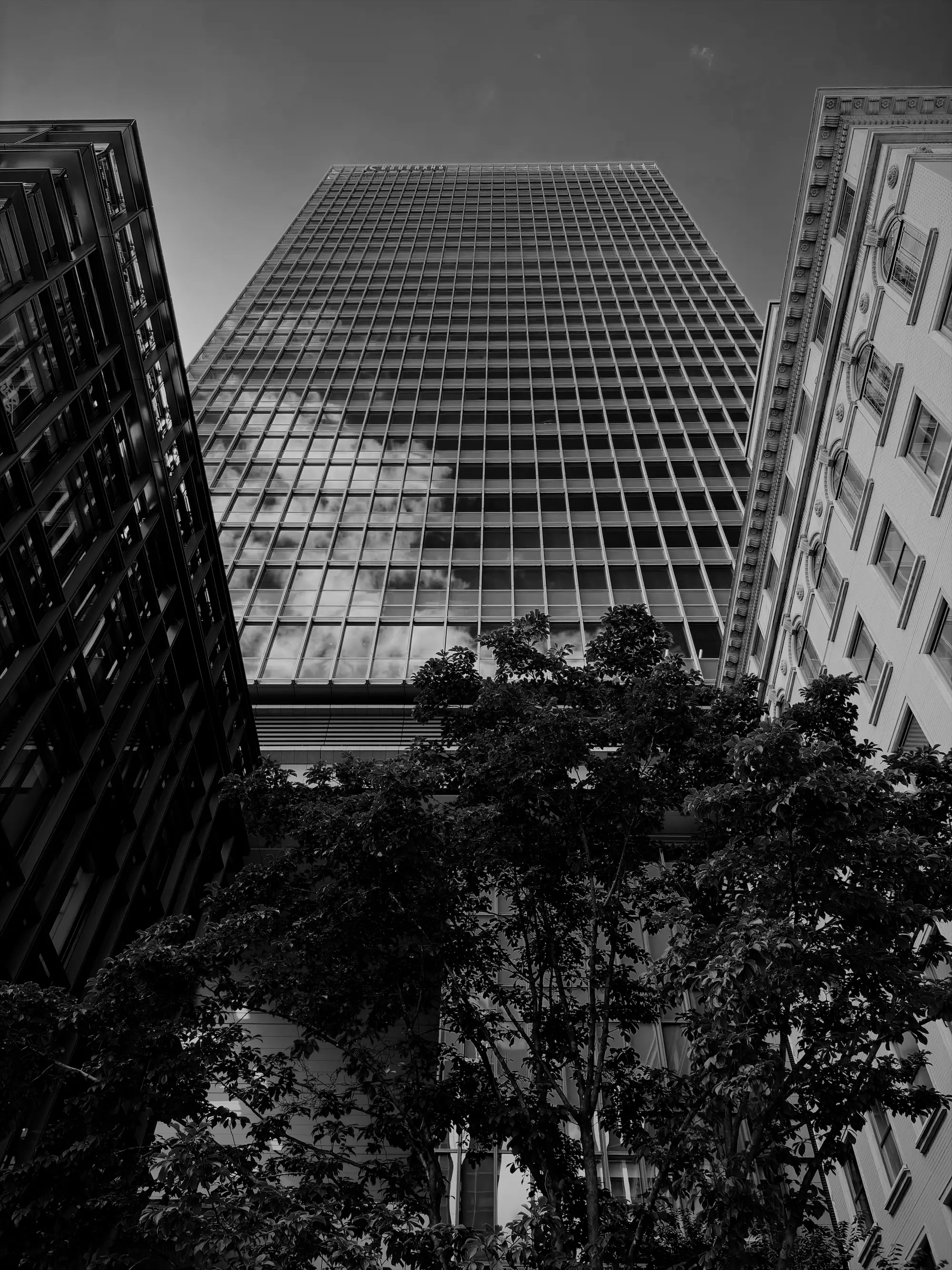 Black-and-white photograph looking up at a glass office tower, framed by nearby buildings and trees.